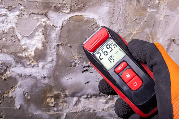 Best Home Mold Removal  in Pinehurst, TX