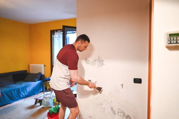 Best Office Mold Removal Services  in Pinehurst, TX